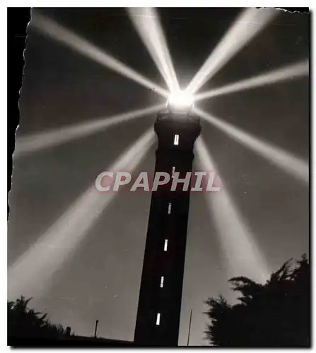 Cartes postales moderne Ile de Re Char Maritime Le Phare des Baleines