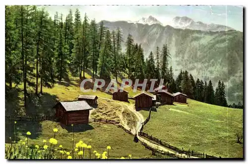 Cartes postales moderne Chalets