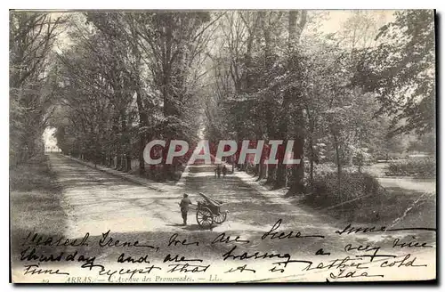 Cartes postales Arras Avenue ds Promenade