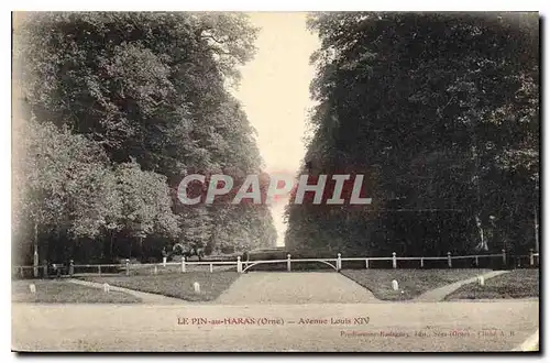 Cartes postales Le Pin au Haras Orne Avenue Louis XIV