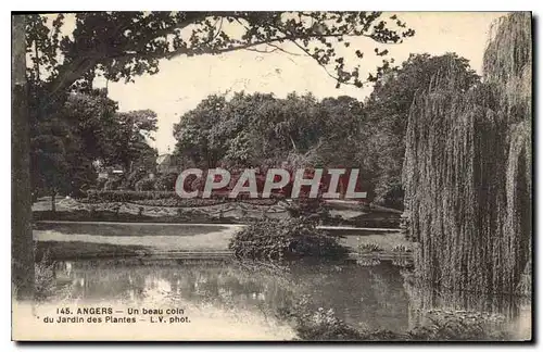 Ansichtskarte AK Angers Un Beau coin du Jardin des Plantes