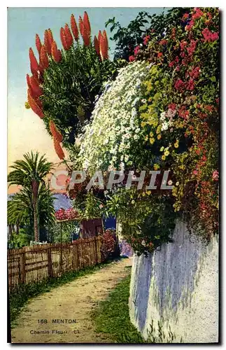 Cartes postales Menton Chemin Fleu