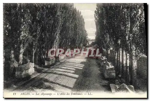 Ansichtskarte AK Arles Les Alyscamps L'Allee des Tombeaux