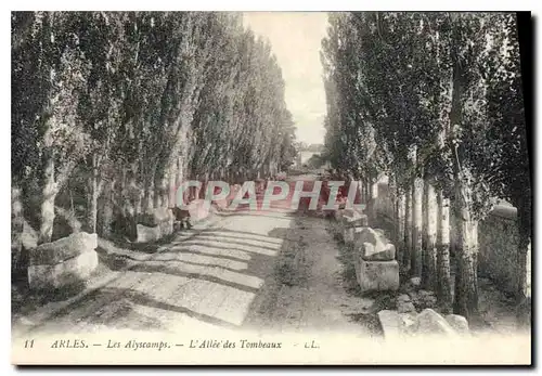 Ansichtskarte AK Arles Les Alyscamps L'Allee des Tombeaux