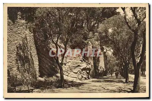 Cartes postales Arles B du R Promenade de la Lice Les Ruines