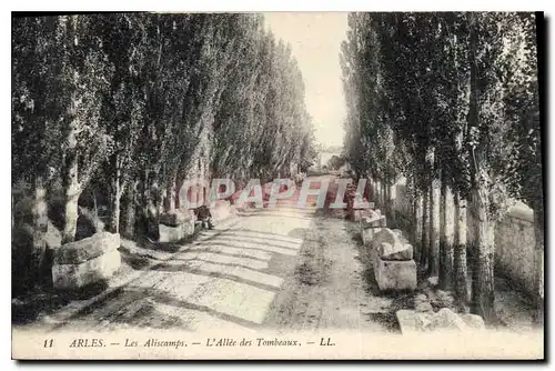 Ansichtskarte AK Arles Les Aliscamps L'Allee des Tombeaux