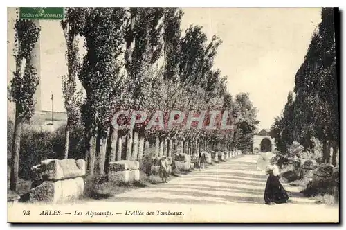 Ansichtskarte AK Arles Les Alyscamps L'Allee des Tombeaux