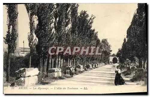 Ansichtskarte AK Arles Les Alyscamps L'Allee des Tombeaux