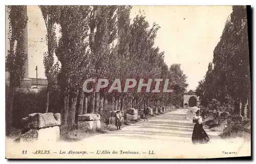 Ansichtskarte AK Arles Les Alyscamps L'Allee des Tombeaux