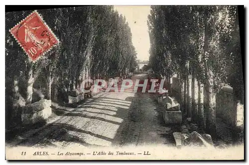 Ansichtskarte AK Arles Les Alyscamps L'Allee des Tombeaux