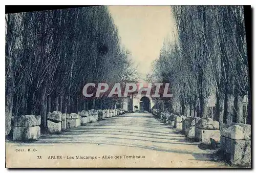 Ansichtskarte AK Arles Les Alyscamps L'Allee des Tombeaux