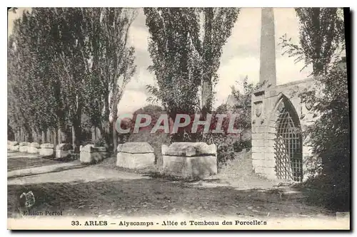 Cartes postales Arles Alyscamps Allee et Tombeau des Porcellets