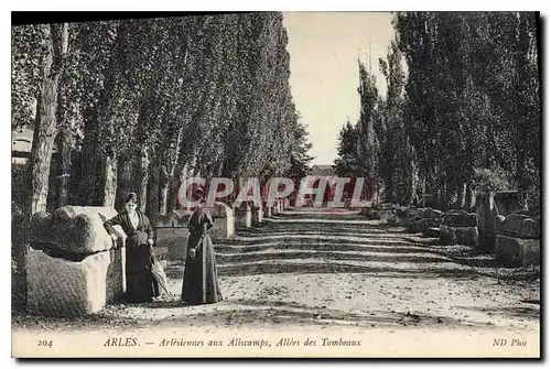 Ansichtskarte AK Arles Arlesiennes aux Aliscamps Allees des Tombeaux