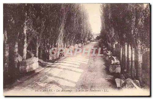 Cartes postales Arles Les Aliscamps L'Allee des Tombeaux