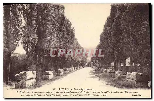 Ansichtskarte AK Arles Les Alyscamps L'Allee des Tombeaux