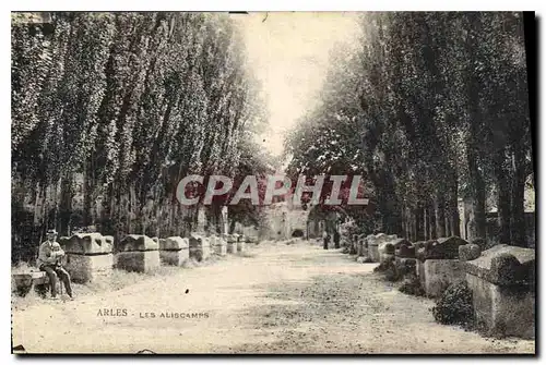 Cartes postales Arles Les Aliscamps