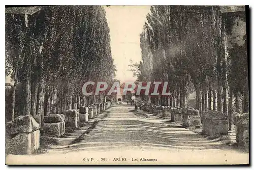 Cartes postales Arles Les Aliscamps