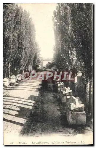 Cartes postales Arles Les Alyscamps L'Allee des Tombeaux