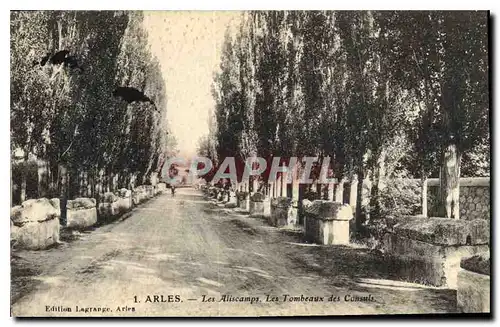 Cartes postales Arles Les Aliscamps Les Tombeaux des Consuls