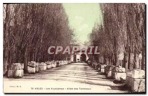 Cartes postales Arles Les Alyscamps Allee des Tombeaux