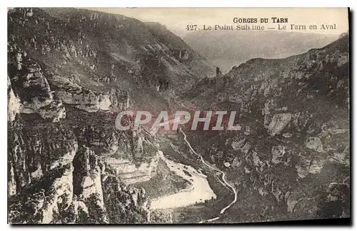 Cartes postales Gorges du Tarn Le Point Subeime Le Tarn en Aval