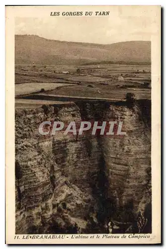 Cartes postales Les Gorges du Tarn Le Bramabiau l'abime et le Plateau de Camprieu