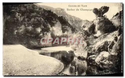 Cartes postales Gorges du Tarn Rocher du Champigno