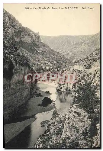 Cartes postales Les Bords de Tarn a la Malene