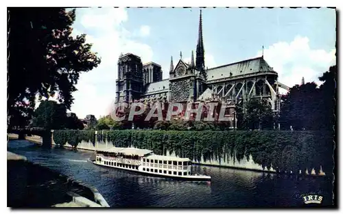 Cartes postales Paris Notre Dame