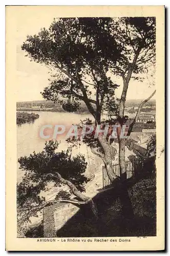 Cartes postales Avignon Le Rhone vu du Rocher des Doms