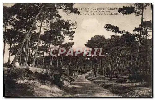 Cartes postales Arcachon Cote d'Argent route du Moulleau a travers le Parc des Abatilles