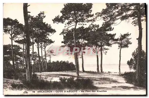 Ansichtskarte AK Arcachon Cote d'Argent au parc des Abatilles