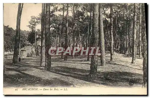 Cartes postales Arcachon Dans les Bois