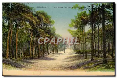 Cartes postales Arcachon vue dans les Dunes