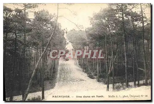 Cartes postales Arcachon une dane en Foret