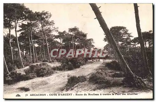 Cartes postales Arcachon Cote d'Argent Route du Moulleau travers le Parc des Abatilles