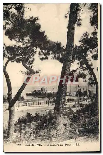 Cartes postales Arcachon a travers les Pins