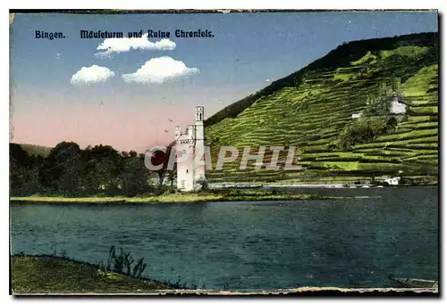 Cartes postales Bingen Mouleturm und Ruine Ehrenfels