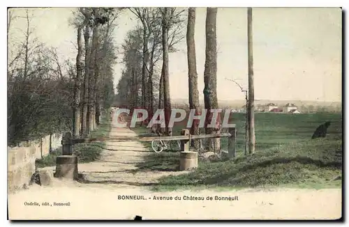 Cartes postales Bonneuil Avenue du Chateau de Bonneuil