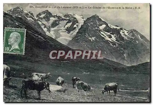 Ansichtskarte AK Le Dauphine Col du Lautaret (2075 m) le Glacier de l'Homme et la Meije Vaches