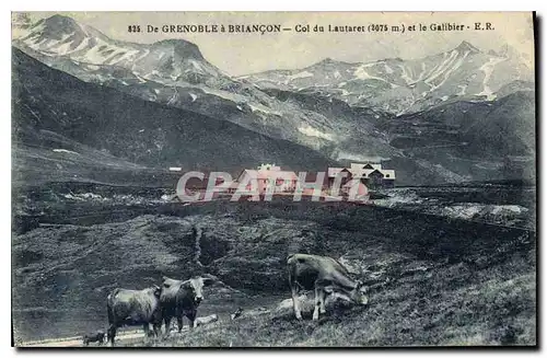 Ansichtskarte AK De Grenoble a Briancon Col du Lautaret (2075 m) et le Galibier Vaches