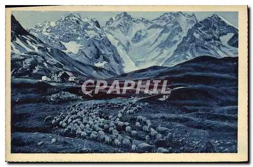 Cartes postales Dauphine Le Col du Lauteret (2056 m) et la Meije (1987 m) Moutons