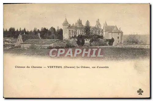 Cartes postales Chateau des Charentes Verteuil (Charente) le Chateau vue d'ensemble