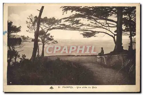 Cartes postales Paimpol Une allee du Bois