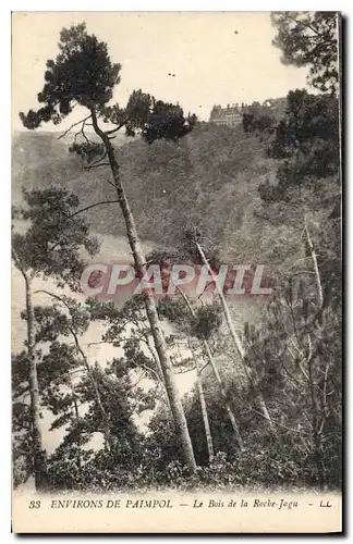 Cartes postales Environs de Paimpol Le Bois de la Roche Jagu