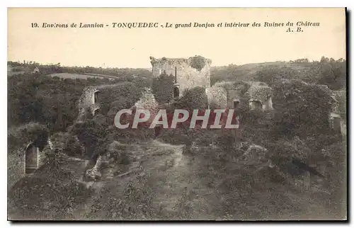 Cartes postales Environs de Lannion Tonquedec Le Grand Donjon et Interieur des Ruines du Chateau