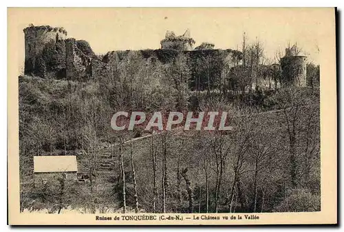 Ansichtskarte AK Ruines de Ruines de Tonquedec (C du N) Le Chateau vu de la Vallee