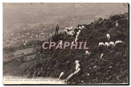 Cartes postales Argeles Gazost Vue prise  du Sommet du Mont de Gez sur Arras et la Route d'Arrens Berger Moutons