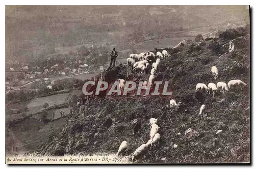 Cartes postales Gazost Val prise du Sommet du Mont de Gez sur Arras et la Route d'Arrens Berger Moutons