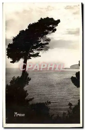 Ansichtskarte AK Cassis sur Mer La Cote Provencale Une vue sur la Baie